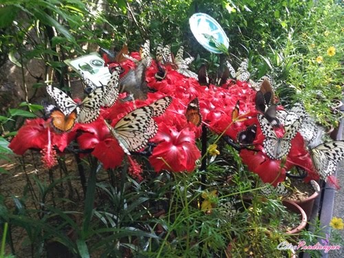 Entopia by Penang Butterfly Farm